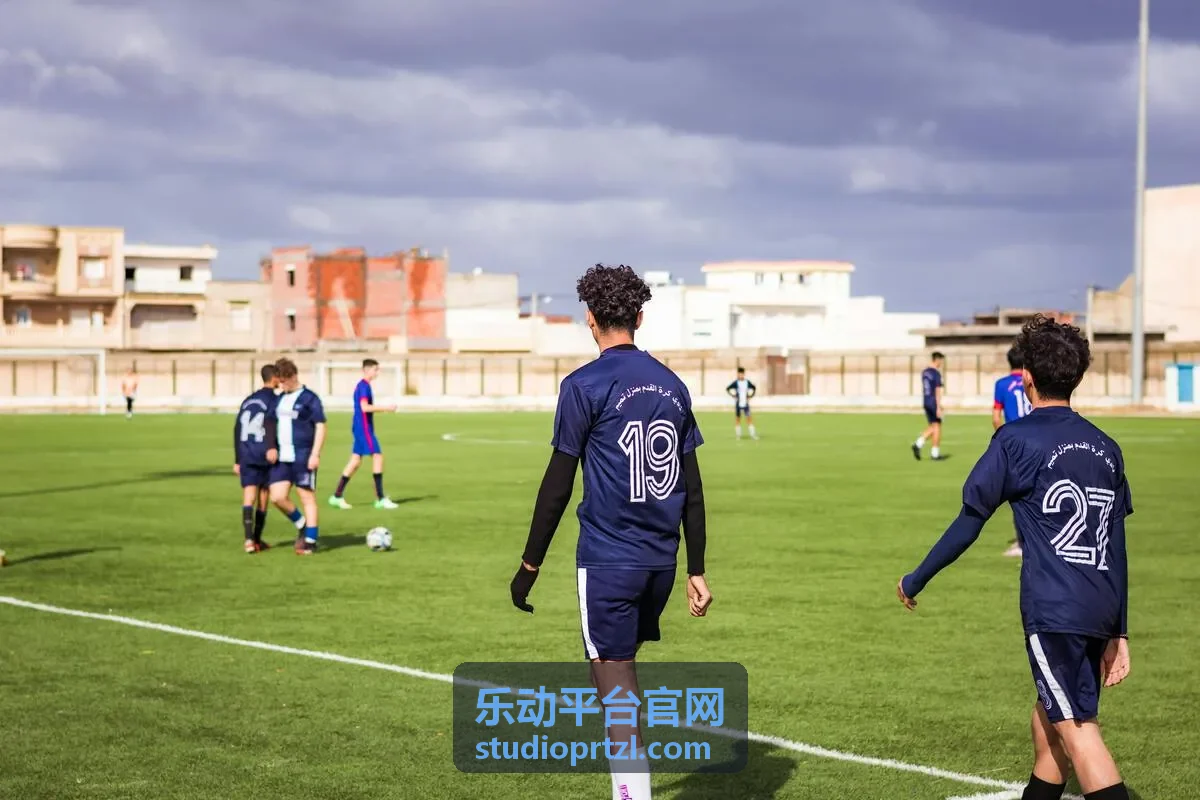 集团企业数据整合治理结构