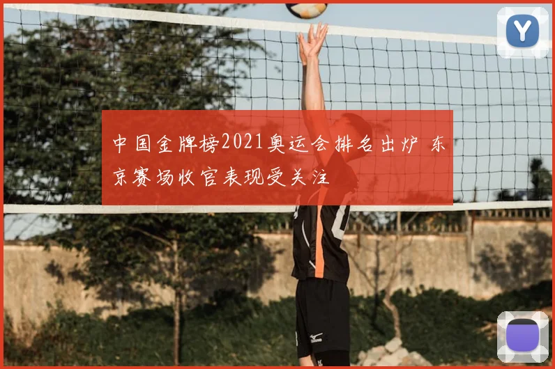 中国金牌榜2021奥运会排名出炉 东京赛场收官表现受关注