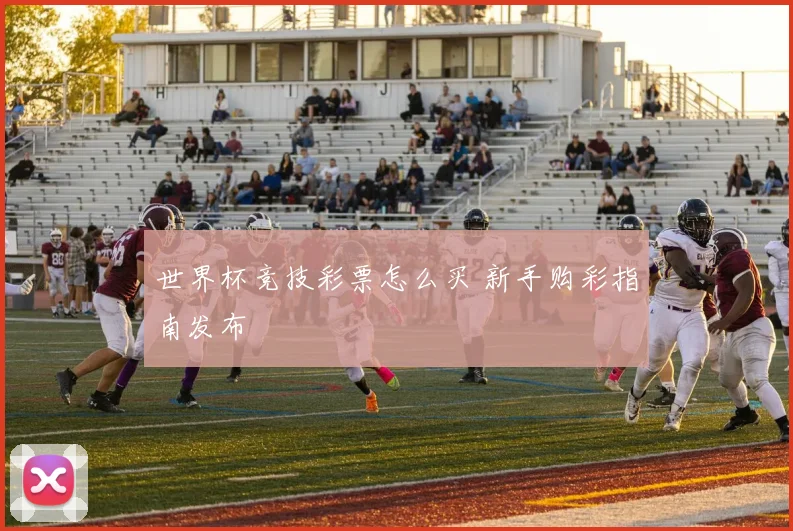 世界杯竞技彩票怎么买 新手购彩指南发布